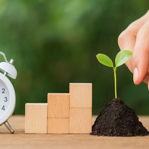 Micro-hábitos: pequenas ações que transformam sua vida