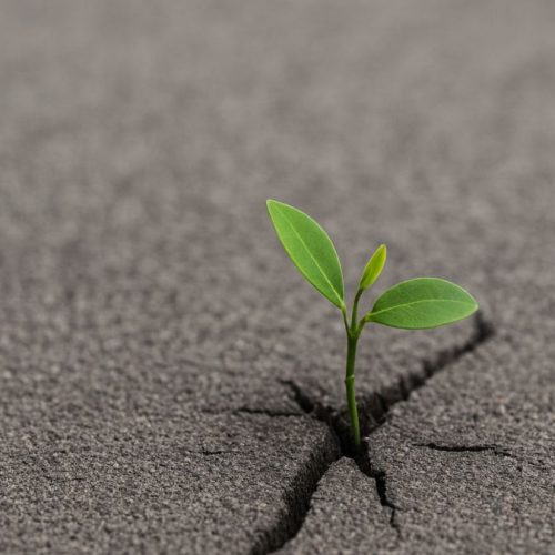 Você realmente sabe o que é resiliência?